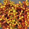 Waxwing™ Orange Mirror Bush -Great Garden Plants Coprosma Waxwing Orange 1