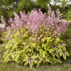 Fun And Games® 'Eye Spy' Foamy Bells